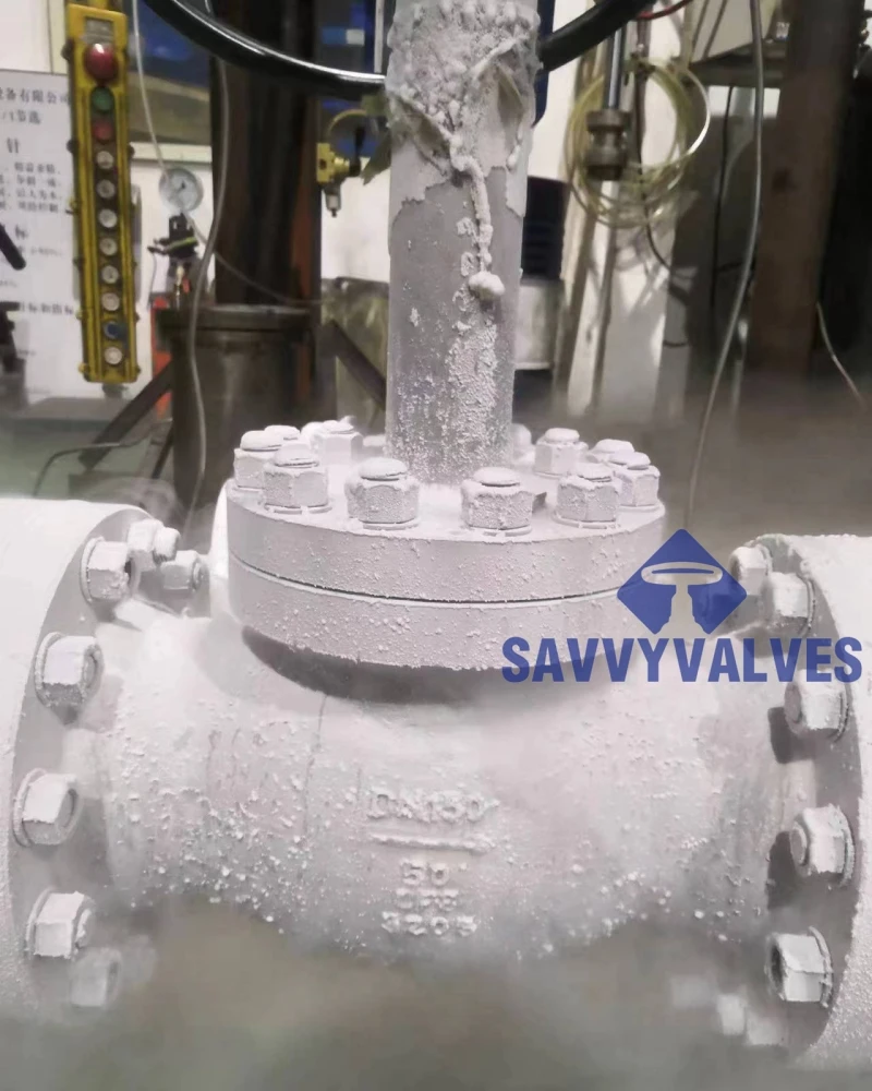 SAVVY Cryogenic globe valve CNG LNG LPG