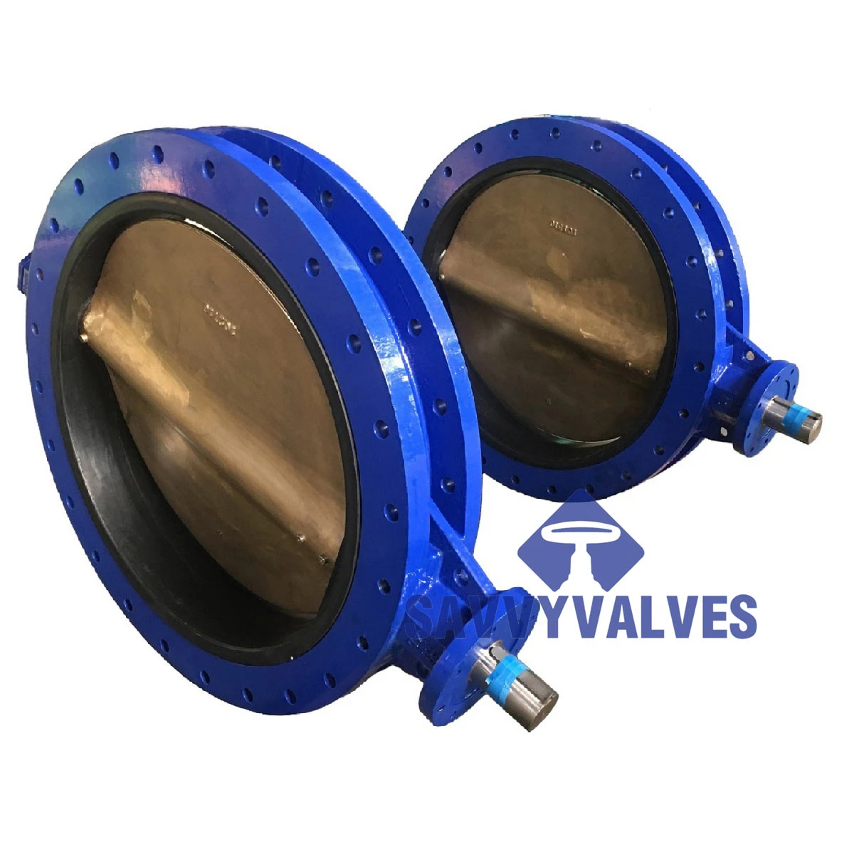 Marine U Section Double Flange Butterfly Valve