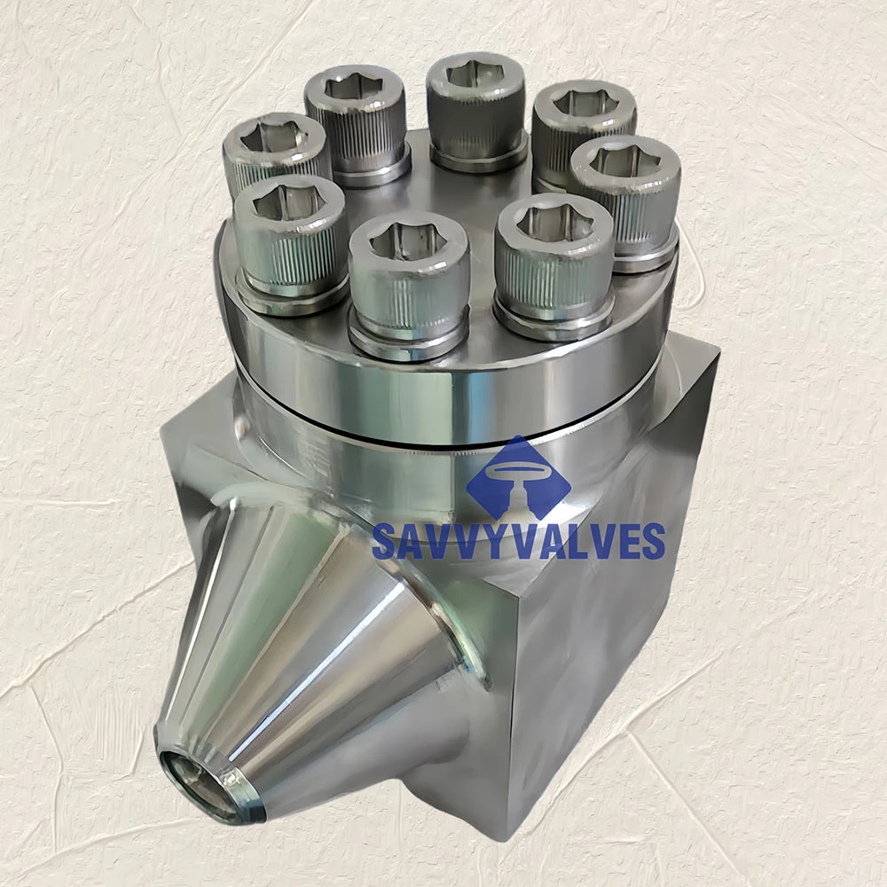 SAVVY Cng Lng Cryogenic Piston Lifting Check Valve Free Forged