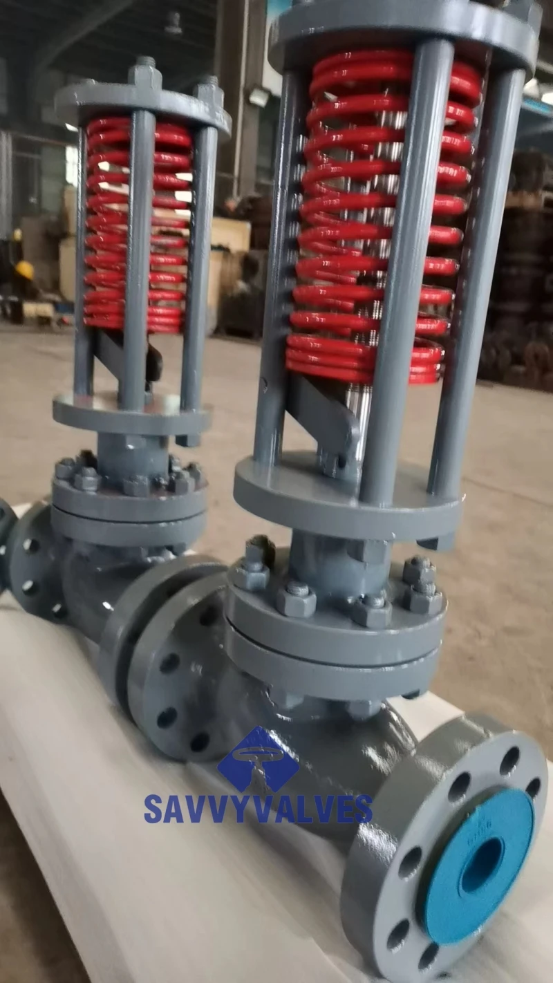 Spring Close Fast Quick Open Gate Valve Discharge Valve