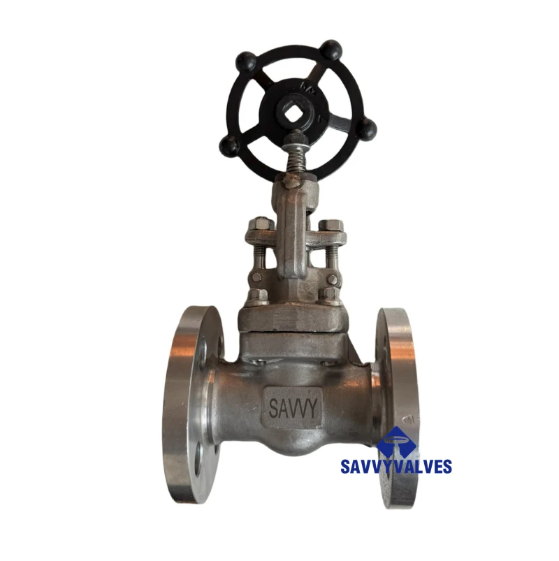 DSS F51 Globe Valve