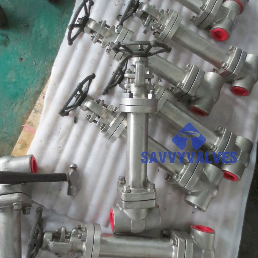 CNG LNG LPG Pattern forged cryogenic gate valve
