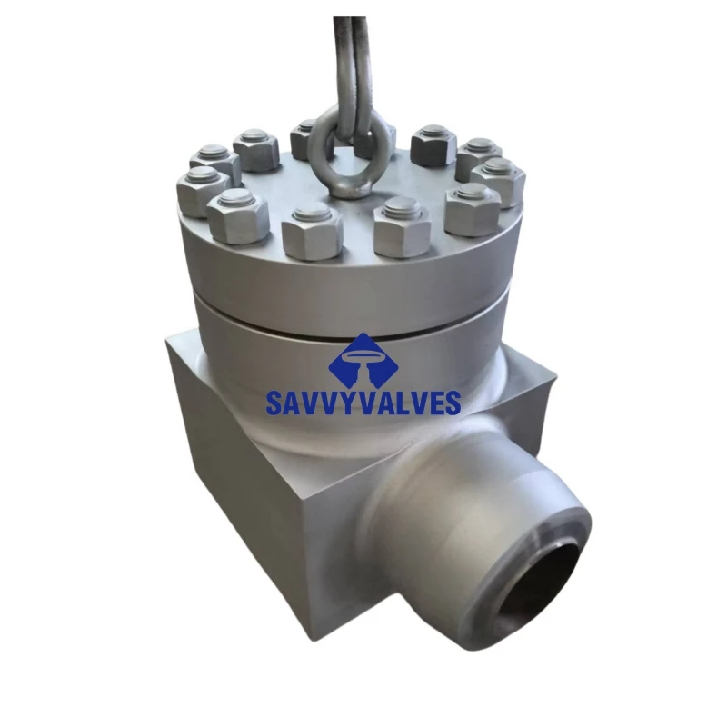 2500LB LTCS Forged Steel Swing Check Valve